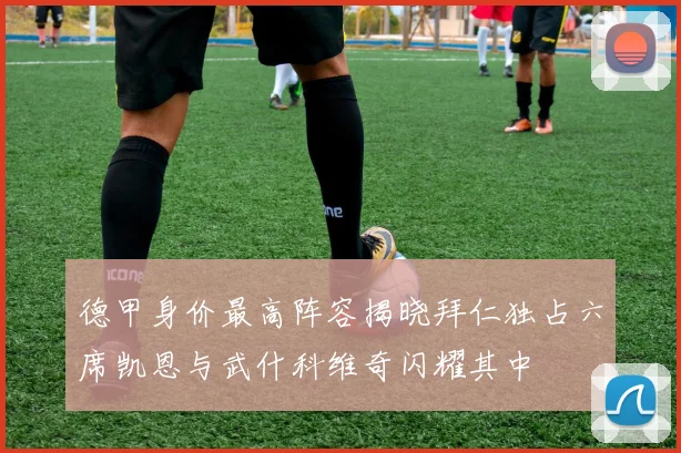 德甲身价最高阵容揭晓拜仁独占六席凯恩与武什科维奇闪耀其中